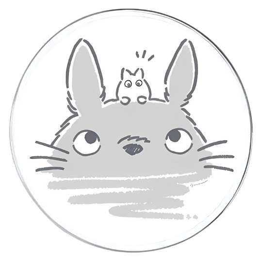 Chapita Totoro