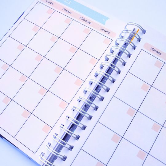Planner anual Margarita azul - Imagen 2