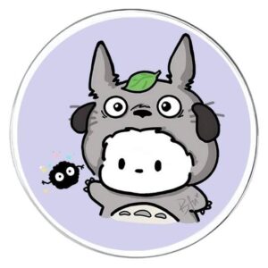 Chapita Pochacco disfraz Totoro