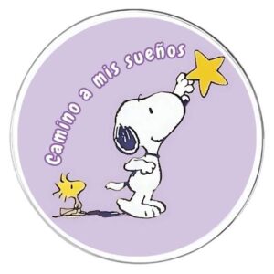 Chapita Camino a mis sueños
